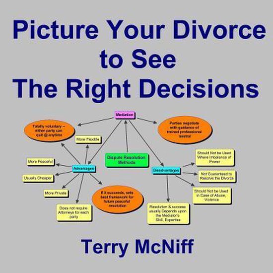 Picture Your Divorce to See the Right Decisions - cover