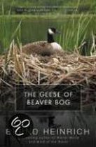 The Geese Of Beaver Bog