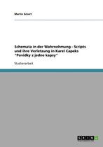 Schemata in der Wahrnehmung - Scripts und ihre Verletzung in Karel Capeks Povidky z jedne kapsy