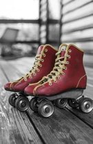 The Hacker-Proof Internet Address Password Book - Roller Skates