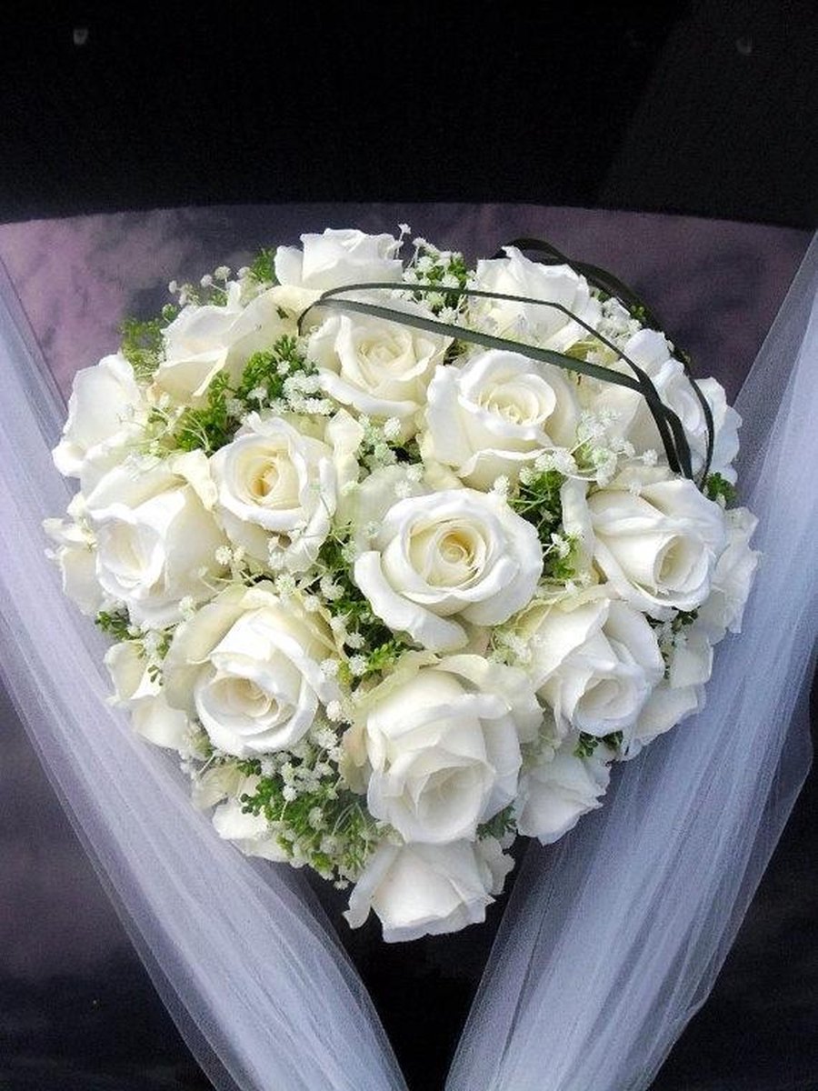 Mawar putih untuk mama
