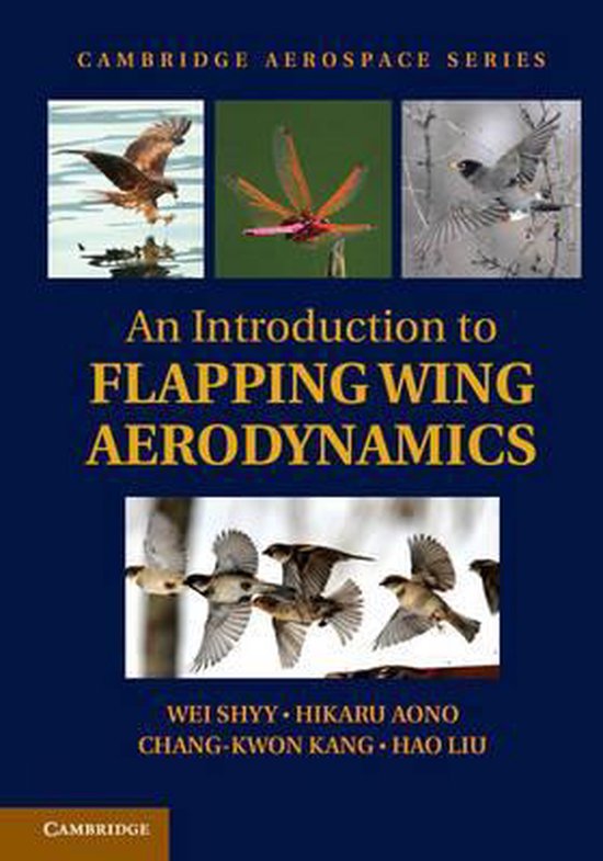 Foto: Introduction to flapping wing aerodynamics