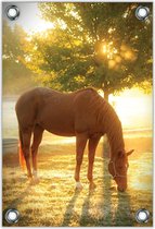 Tuinposter –Paard in Wei– 60x90cm Foto op Tuinposter (wanddecoratie voor buiten en binnen)