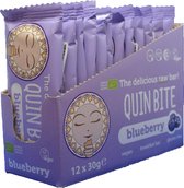 Quin Bite Raw Bar Blueberry - 100% Bio Vegan Glutenvrij - 12x30gr.