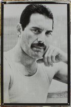 Concertbord - Freddie Mercury