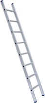 Eurostairs Enkele Ladder 1x 12 sporten | 3 meter | 3.25 lengte | Professioneel gebruik | 42/66 breedte | 7.4 kg
