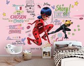 Miraculous Lady Bug en Cat Noir Graffiti Behang – kinderkamer fotobehang Marinette en Adrien – kinderbehang – 368 x 254 cm – roze