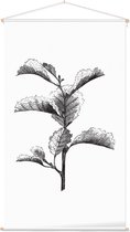 Els zwart-wit (Leaved Alder) - Foto op Textielposter - 60 x 90 cm