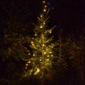 Solar 50 LEDs Sfeerverlichting met extra groot zonnepaneel
