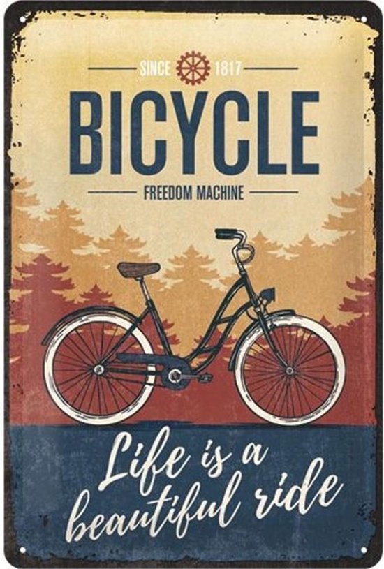 Bicycle Life Is A Beautiful Ride Enseigne en métal 20 x 30 cm