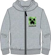 Minecraft - sweater - hoodie met rits - lichtgrijs - maat 116 cm / 6 jaar