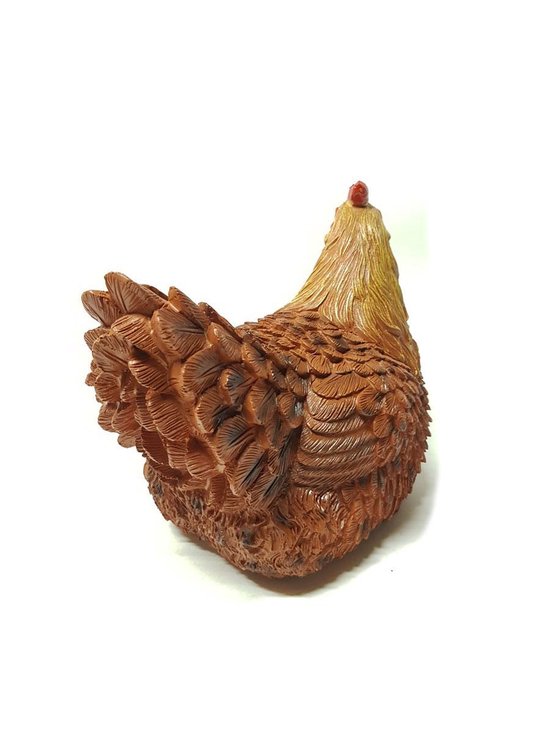 Broed kip zit 26cm bruin