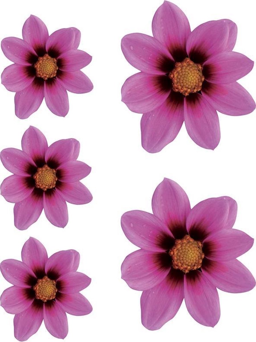 Avisa Aufkleber Flower Garden - rosa - 2x 16x15cm + 3x 8,5x8cm