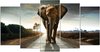 Olifant 5 luik