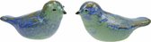 Urn / Mini Urn - Urn Vogel Keramiek Groen/Blauw - Urn voor as - Urn Hond - Urn Kat - Urn Glasobject - Urn Kunst - As-Gedenkstuk - Glasurn
