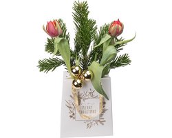 BloomGift | Kerstcadeaus | Brievenbusbloemen Oh Denneboom