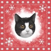 Servetten - Kerst servet - Katten - Zwart - Wit