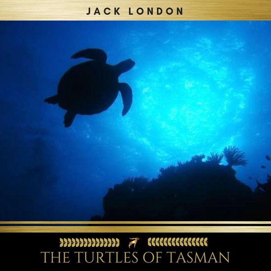 The Turtles of Tasman - cover