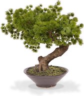 Pinus kunst Bonsai 40 cm in schaal