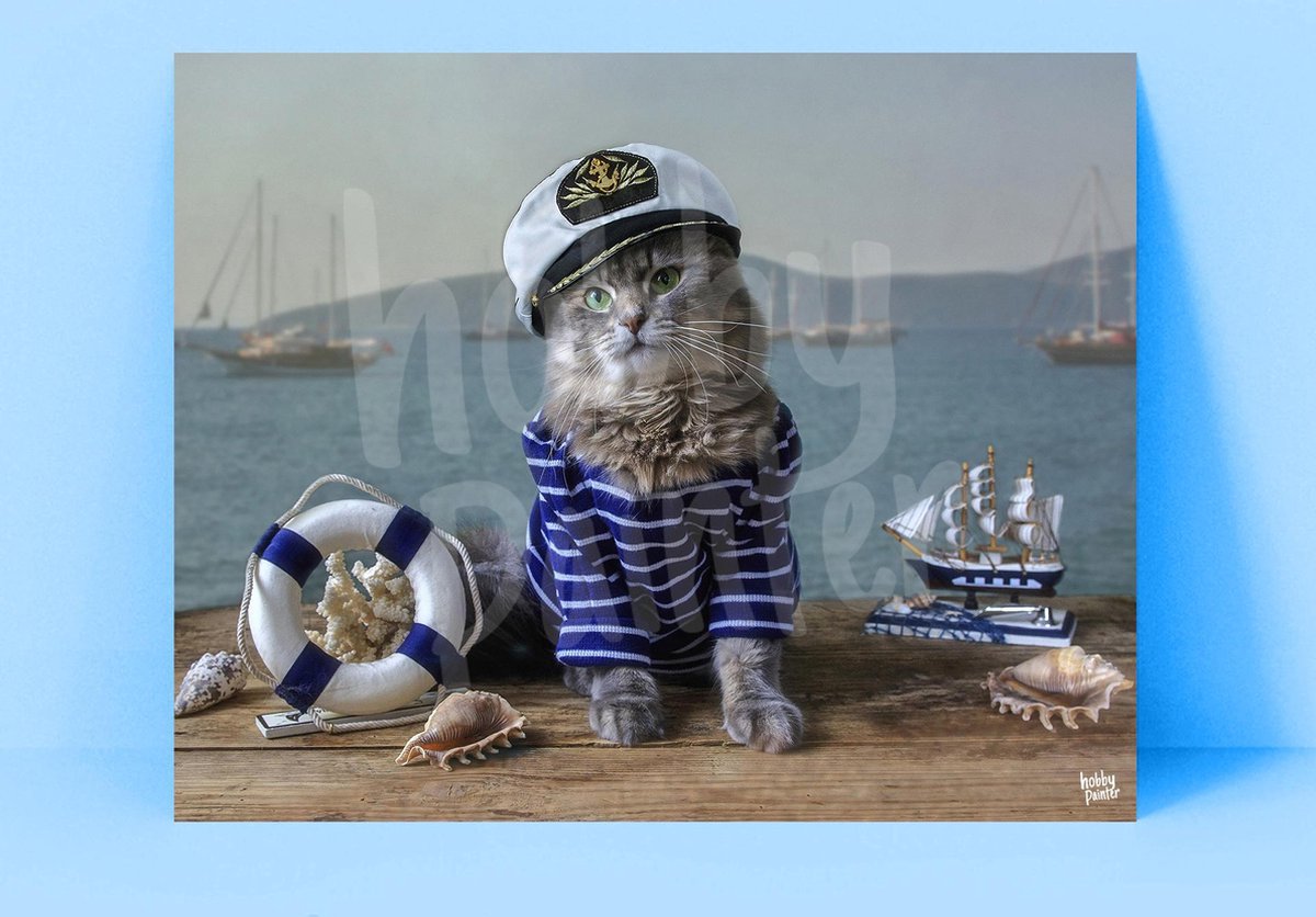 Hobby Painter - Captain cat - Diamond Painting - 50x40 cm - Vierkant - Compleet pakket