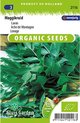 Sluis Garden - Maggikruid, Lavas BIO (Levisticum officinalis)