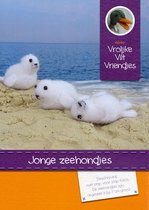 DIY wolvilt pakket: Jonge zeehonden