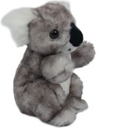 Koala 16 cm