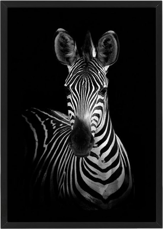 bol.com | Canvas poster zebra 21x30 cm | Poster in aluminium zwarte lijst | Zwart  wit poster |...