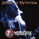Woodstock Experience -Hq- (LP)