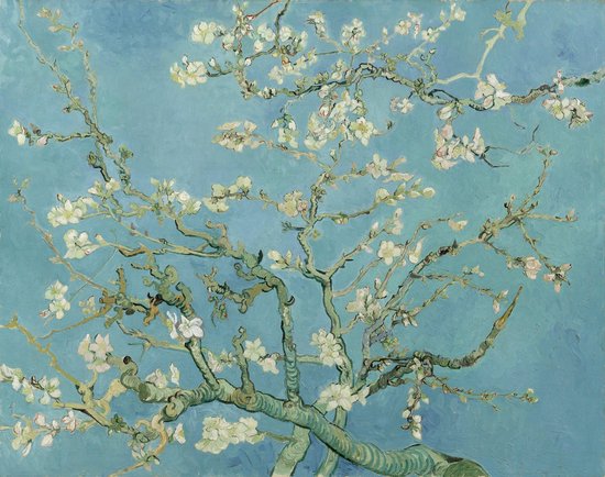 Poster Amandeltakken - Amandelbloesem in bloei - Kleur - Vincent van Gogh - 50x70 cm - Hollandse Meesters
