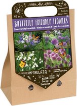 Nuttige bloemen - Vlindervriendelijke bloemen