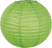 Papieren lampion groen met draadstalen frame (25 cm)