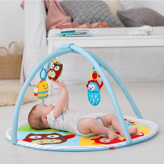 Skip Hop Explore and More Funscape Activity Gym bol