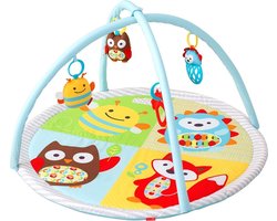 Skip Hop Explore and More Funscape Activity Gym