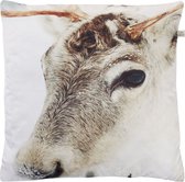 MOOSE - Kussenhoes met dierenprint zand 45x45 cm