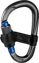 Mammut Smart HMS Karabiner Grijs Extra veilige karabiner Screw Gate Blue EOL