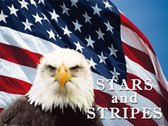 Stars and Stripes Eagle, metalen wandbordje 10x15cm