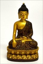 Thai Boeddha goud-bruin