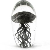Kwal in glas S