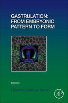 Gastrulation: From Embryonic Pattern to Form
