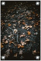 Tuinposter –Herfstbladeren in het Bos– 40x60cm Foto op Tuinposter (wanddecoratie voor buiten en binnen)