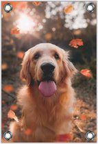 Tuinposter –Hijgende Hond in Bos– 40x60cm Foto op Tuinposter (wanddecoratie voor buiten en binnen)