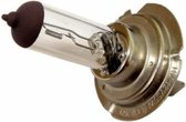 Lamp 12V halogeen 55W h7 Gilera Runner 180cc DMP