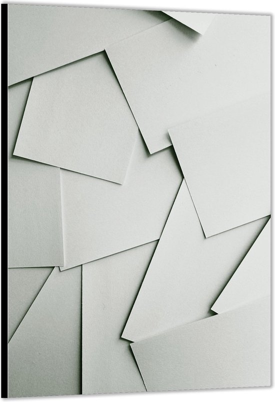 Dibond –Witte Blaadjes – 80x120cm Foto op Aluminium (Wanddecoratie van metaal)