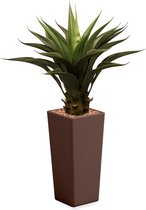 HTT - Kunstplant Agave vetplant in Clou vierkant bruin H100 cm