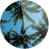 Palmbomen | Wanddecoratie | 90CM x 90CM | Schilderij | Foto op plexiglas | natuur | Landschappen