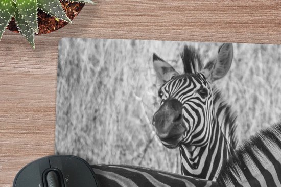 Muismat XXL 90x45 cm - Bureau onderlegger - Bureau mat Drie grazende zebra's - Bureaumat - Gaming mousepad xl - Bureaulegger groot - Computer deskmat