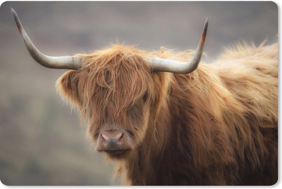 Muismat XXL 90x60 cm - Bureau onderlegger - Bureau mat Schotse Hooglander - Hoorns - Haar - Bureaumat - Gaming mousepad xl - Bureaulegger groot - Computer deskmat