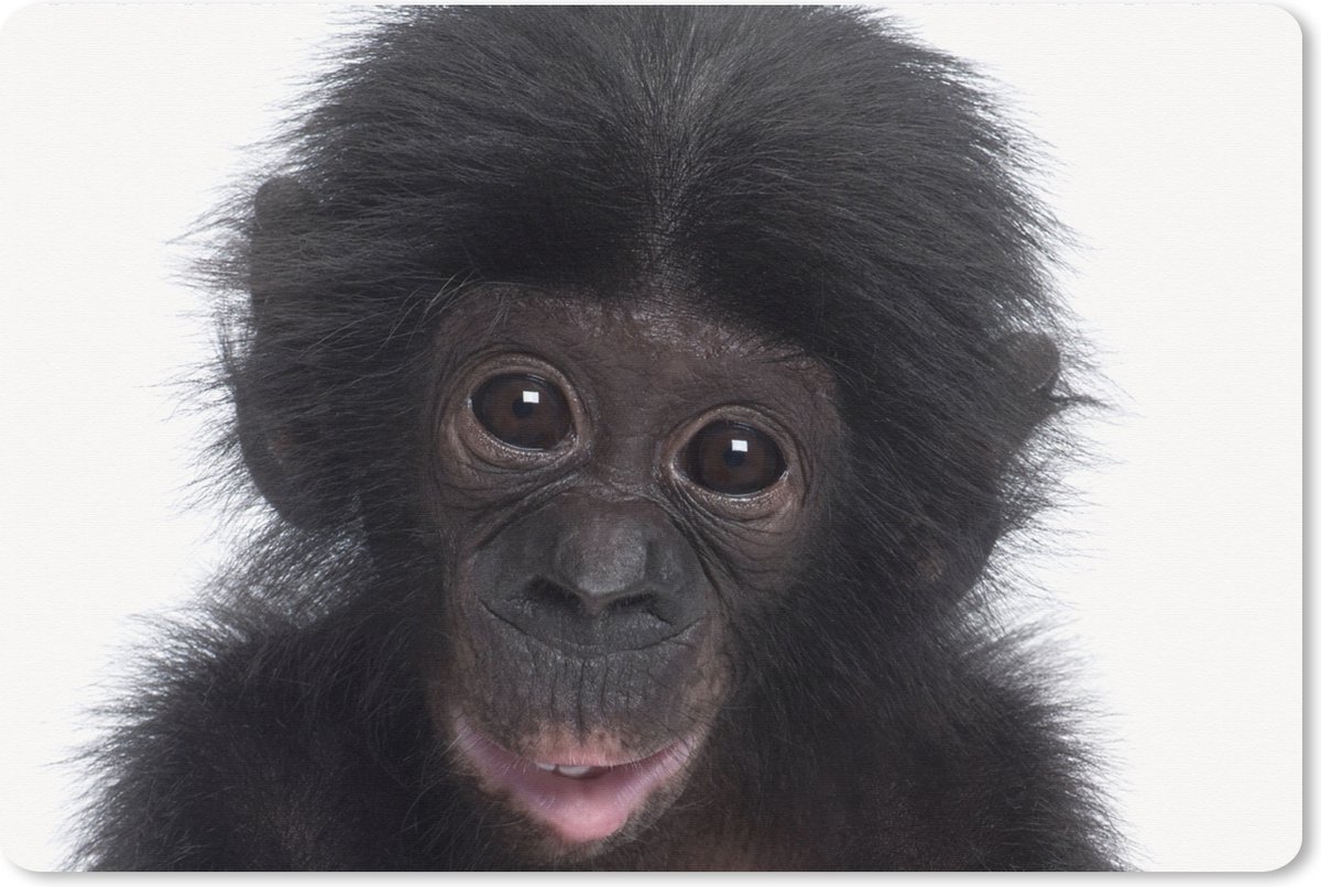 Muismat XXL 90x60 cm - Bureau onderlegger - Bureau mat Aap - Chimpansee - Portret - Kinderen - Jongens - Meisjes - Bureaumat - Gaming mousepad xl - Bureaulegger groot - Computer deskmat