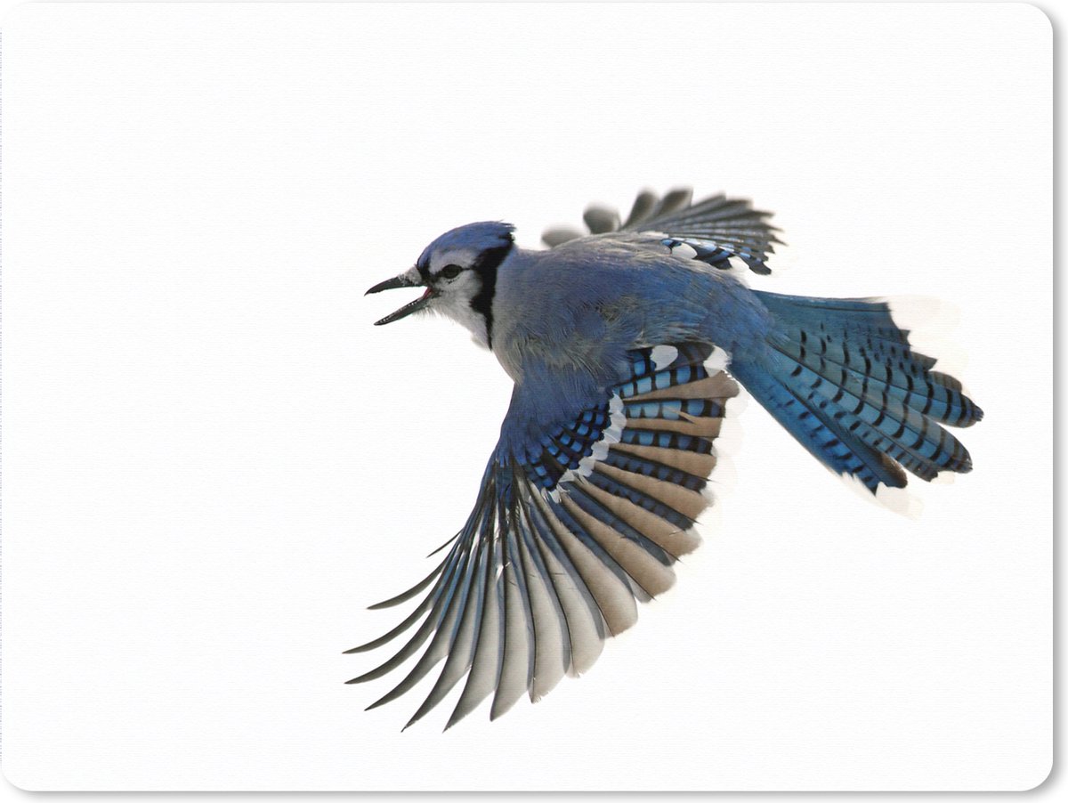 Muismat XXL 80x60 cm - Bureau onderlegger - Bureau mat Vogel - Veren - Wit - Bureaumat - Gaming mousepad xl - Bureaulegger groot - Computer deskmat